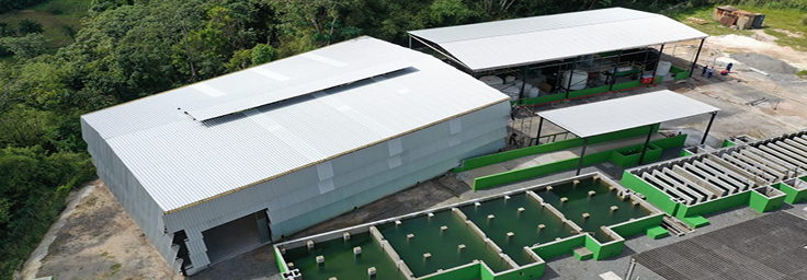 Marca Ambiental Marca Ambiental